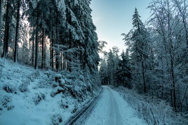 Oberhof yakınlarındaki Thuringian Ormanı 'nda kış yürüyüşü - Thüringen - Almanya