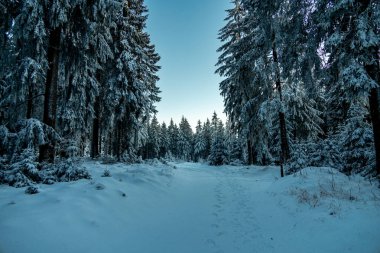 Oberhof yakınlarındaki Thuringian Ormanı 'nda kış yürüyüşü - Thüringen - Almanya