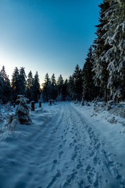 Oberhof yakınlarındaki Thuringian Ormanı 'nda kış yürüyüşü - Thüringen - Almanya