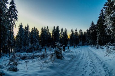 Oberhof yakınlarındaki Thuringian Ormanı 'nda kış yürüyüşü - Thüringen - Almanya