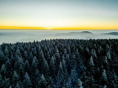 Oberhof yakınlarındaki Thuringian Ormanı 'nda kış yürüyüşü - Thüringen - Almanya