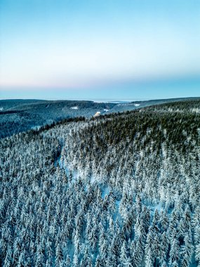 Oberhof yakınlarındaki Thuringian Ormanı 'nda kış yürüyüşü - Thüringen - Almanya