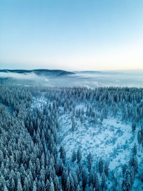 Oberhof yakınlarındaki Thuringian Ormanı 'nda kış yürüyüşü - Thüringen - Almanya