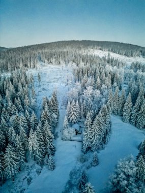 Oberhof yakınlarındaki Thuringian Ormanı 'nda kış yürüyüşü - Thüringen - Almanya
