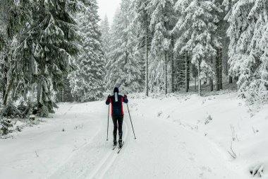 Kışın Oberhof ve Kanzlersgrund yakınlarındaki Thüringen Ormanı 'nda yürüyüş - Thüringen - Almanya