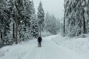 Kışın Oberhof ve Kanzlersgrund yakınlarındaki Thüringen Ormanı 'nda yürüyüş - Thüringen - Almanya