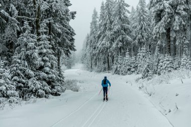 Kışın Oberhof ve Kanzlersgrund yakınlarındaki Thüringen Ormanı 'nda yürüyüş - Thüringen - Almanya