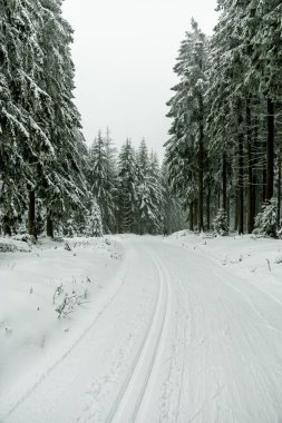 Kışın Oberhof ve Kanzlersgrund yakınlarındaki Thüringen Ormanı 'nda yürüyüş - Thüringen - Almanya