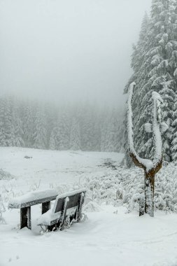 Kışın Oberhof ve Kanzlersgrund yakınlarındaki Thüringen Ormanı 'nda yürüyüş - Thüringen - Almanya