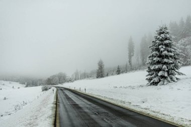 Kışın Oberhof ve Kanzlersgrund yakınlarındaki Thüringen Ormanı 'nda yürüyüş - Thüringen - Almanya