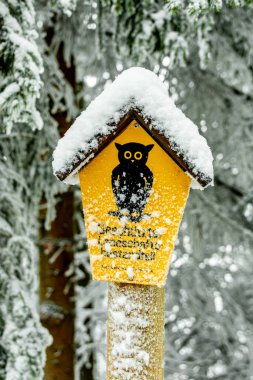 Kışın Oberhof ve Kanzlersgrund yakınlarındaki Thüringen Ormanı 'nda yürüyüş - Thüringen - Almanya