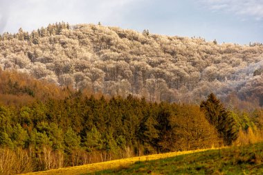 Schmalkalden 'de kısa kış yürüyüşü harika bir günbatımı ile - Thüringen - Almanya