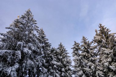 Schmalkalden 'de kısa kış yürüyüşü harika bir günbatımı ile - Thüringen - Almanya