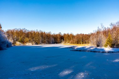 Güneşli bir günde, güzel Rhn-Hesse 'de Wasserkuppe civarında kısa bir kış yürüyüşü.