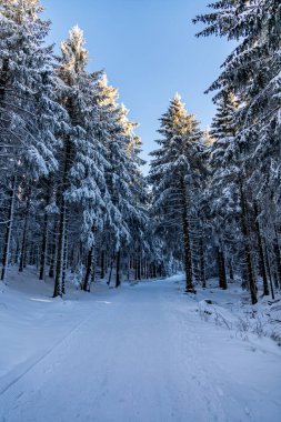 Romantic winter hike to the highest peak of the Rennsteig - the Schneekopf near Schmiedefeld in the evening light - Thuringia - Germany clipart