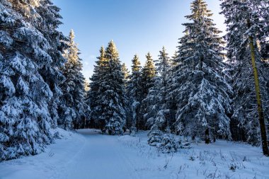 Rennsteig 'in en yüksek zirvesine romantik kış yürüyüşü - Schmiedefeld yakınlarındaki Schneekopf - Thüringen - Almanya
