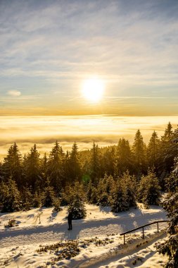 Rennsteig 'in en yüksek zirvesine romantik kış yürüyüşü - Schmiedefeld yakınlarındaki Schneekopf - Thüringen - Almanya