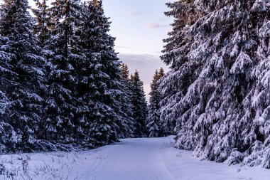 Rennsteig 'in en yüksek zirvesine romantik kış yürüyüşü - Schmiedefeld yakınlarındaki Schneekopf - Thüringen - Almanya