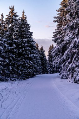 Rennsteig 'in en yüksek zirvesine romantik kış yürüyüşü - Schmiedefeld yakınlarındaki Schneekopf - Thüringen - Almanya