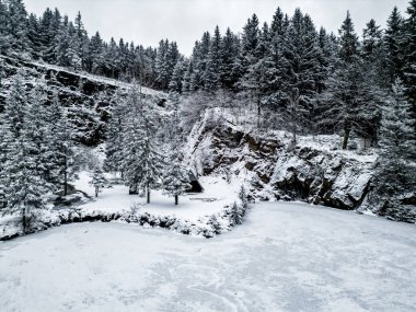 Karla kaplı Thüringen Ormanı 'ndan Ebertswiese' deki dağlık göle, Floh-Seligenthal - Thüringen - Almanya