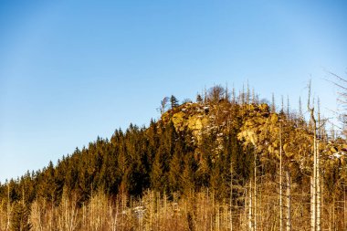 Kış yürüyüşü Harz Ulusal Parkı 'nda Kırık-Saksonya-Anhalt' ın en yüksek noktasına ulaştı.