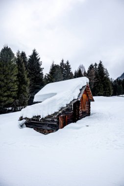 A round of cross-country skiing in the South Tyrolean arena of Antholz in the beautiful Antholz Valley - South Tyrol - Italy clipart