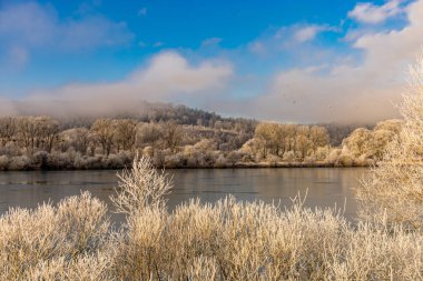 Sabah kışı, Immelborn - Thüringen yakınlarındaki soğuk Werra vadisinde soğuk mevsimde yürür. 