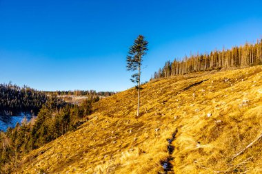 Winter hike in the glassblowing town of Lauscha zun der Stadt am Rennsteig Neuhaus am Rennweg - Thuringia - Germany 