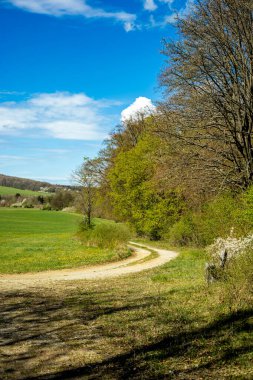 Hmpfershausen yakınlarındaki Thuringian Rhn 'da bahar yürüyüşü - Almanya 