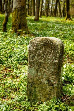 Hmpfershausen yakınlarındaki Thuringian Rhn 'da bahar yürüyüşü - Almanya 
