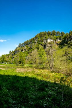 Güzel Franconian İsviçre 'de yaz yürüyüşünün başlarında Pottenstein' den Gssweinstein 'e - Yukarı Franconia - Bavyera - Almanya 