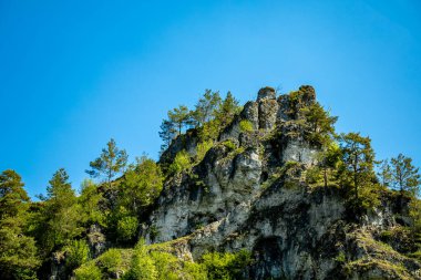 Güzel Franconian İsviçre 'de yaz yürüyüşünün başlarında Pottenstein' den Gssweinstein 'e - Yukarı Franconia - Bavyera - Almanya 