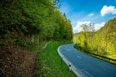 Güzel Franconian İsviçre 'de yaz yürüyüşünün başlarında Pottenstein' den Gssweinstein 'e - Yukarı Franconia - Bavyera - Almanya 