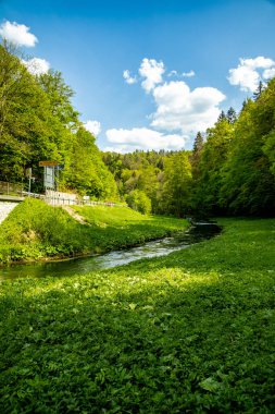 Güzel Franconian İsviçre 'de yaz yürüyüşünün başlarında Pottenstein' den Gssweinstein 'e - Yukarı Franconia - Bavyera - Almanya 