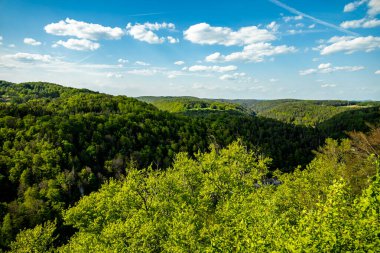 Güzel Franconian İsviçre 'de yaz yürüyüşünün başlarında Pottenstein' den Gssweinstein 'e - Yukarı Franconia - Bavyera - Almanya 