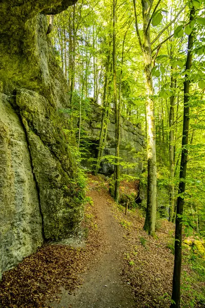Güzel Franconian İsviçre 'de yaz yürüyüşünün başlarında Pottenstein' den Gssweinstein 'e - Yukarı Franconia - Bavyera - Almanya 