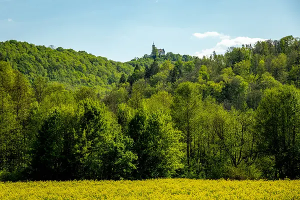 Güzel Franconian İsviçre 'de yaz yürüyüşünün başlarında Pottenstein' den Gssweinstein 'e - Yukarı Franconia - Bavyera - Almanya 