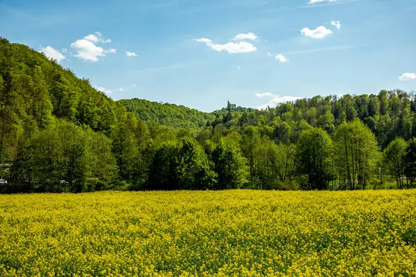 Güzel Franconian İsviçre 'de yaz yürüyüşünün başlarında Pottenstein' den Gssweinstein 'e - Yukarı Franconia - Bavyera - Almanya 