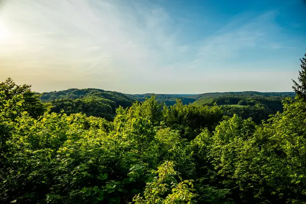 Güzel Franconian İsviçre 'de yaz yürüyüşünün başlarında Pottenstein' den Gssweinstein 'e - Yukarı Franconia - Bavyera - Almanya 