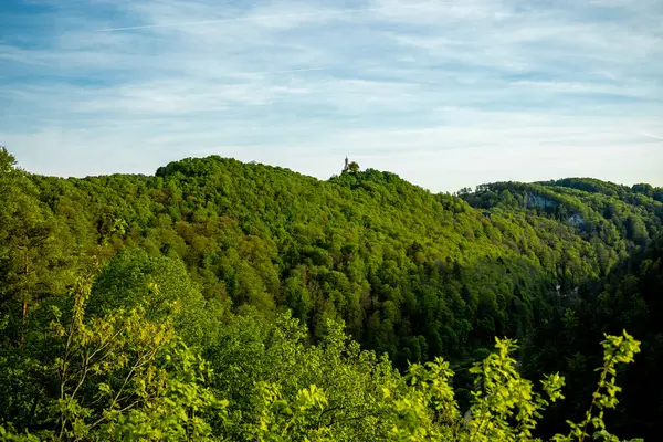 Güzel Franconian İsviçre 'de yaz yürüyüşünün başlarında Pottenstein' den Gssweinstein 'e - Yukarı Franconia - Bavyera - Almanya 