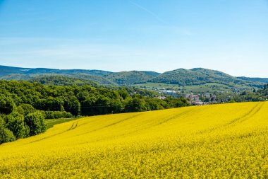 Thüringen Ormanı 'nın güneybatı yamacındaki Schmalkalden kasabasında yaz yürüyüşü
