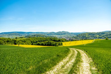 Thüringen Ormanı 'nın güneybatı yamacındaki Schmalkalden kasabasında yaz yürüyüşü