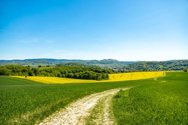 Thüringen Ormanı 'nın güneybatı yamacındaki Schmalkalden kasabasında yaz yürüyüşü