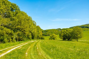 Thüringen Ormanı 'nın güneybatı yamacındaki Schmalkalden kasabasında yaz yürüyüşü