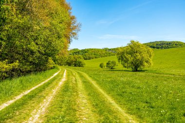 Thüringen Ormanı 'nın güneybatı yamacındaki Schmalkalden kasabasında yaz yürüyüşü