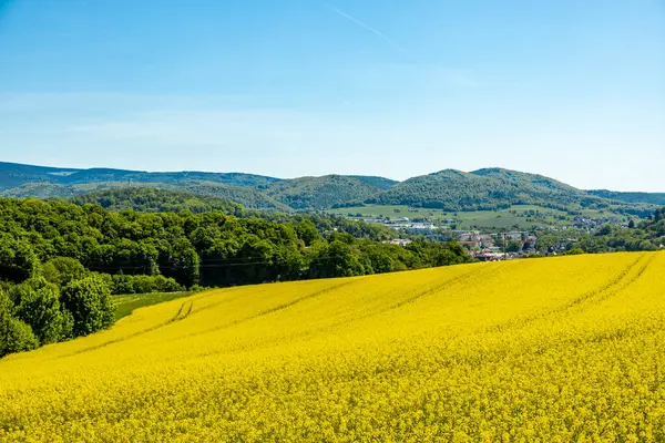 Thüringen Ormanı 'nın güneybatı yamacındaki Schmalkalden kasabasında yaz yürüyüşü