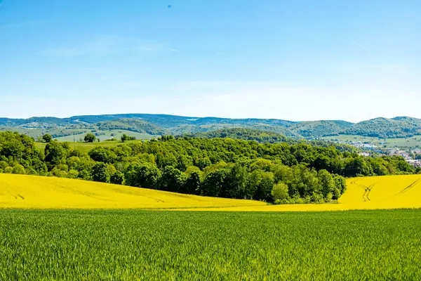 Thüringen Ormanı 'nın güneybatı yamacındaki Schmalkalden kasabasında yaz yürüyüşü