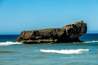 Sagres-Portekiz liman kasabasının kapılarındaki güzel Algarve 'de yaz yürüyüşü.