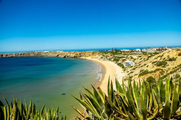 Sagres-Portekiz liman kasabasının kapılarındaki güzel Algarve 'de yaz yürüyüşü.