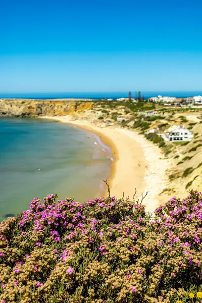 Sagres-Portekiz liman kasabasının kapılarındaki güzel Algarve 'de yaz yürüyüşü.